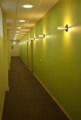 The green corridor