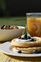 Waffles with Blueberries Breakfast