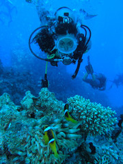 Giocando con Nemo 2