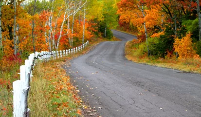 Papier Peint photo Lavable Automne Autumn Drive Way
