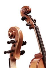 violins on white