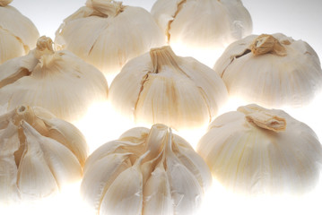 garlic on light box