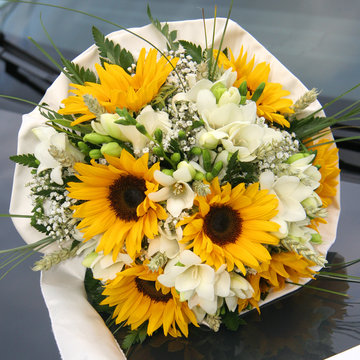 sunflowers