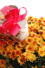 present box with pink ribbon and bouquet of chrysanthemums