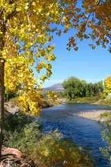 Autumn River View