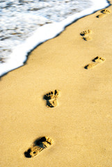Footprints
