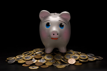 Piggy Bank with money