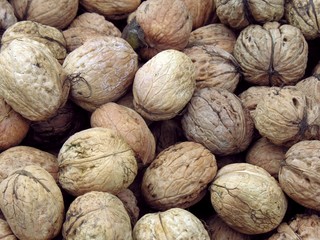 walnuts