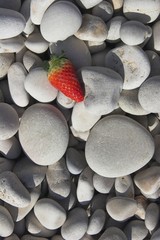 strawberry on rocks