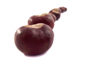 chestnuts