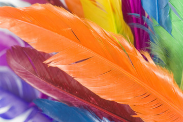 feather V