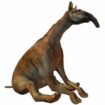 Macrauchenia (Macrauchenia patachonica)