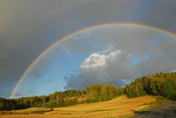 Rainbow over Autumn field