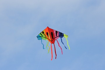 Colourful kite 