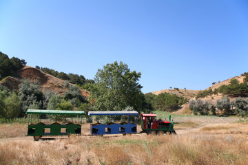 amusement train