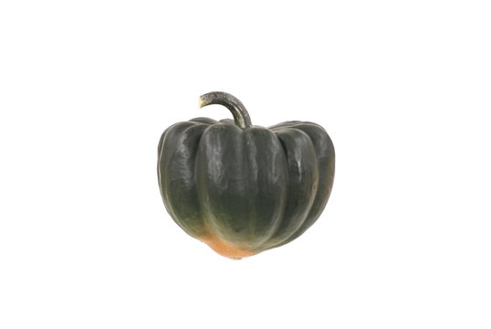 Acorn Squash On White 