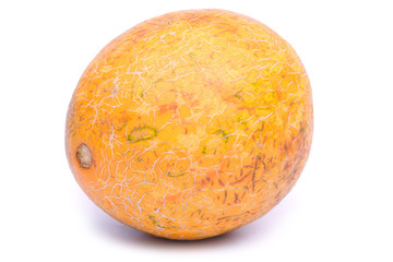 melon