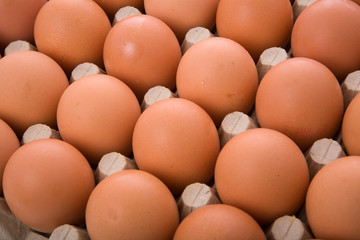 Brown eggs