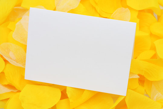 Blank card on petals