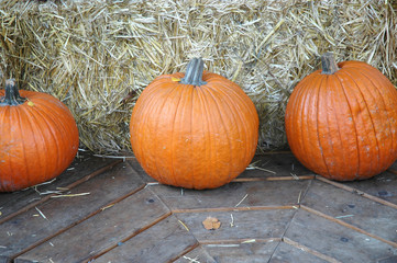 Pumpkins