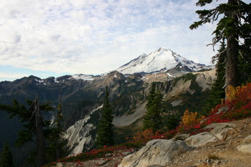 Mt Baker
