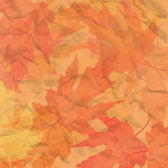 Fototapeta premium grungy autumn leaves