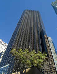 Obraz premium Blue Sky Building