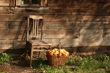 Chair and basketful of apples