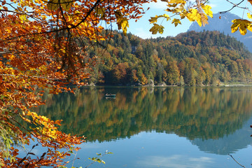 Herbst am Hechtsee