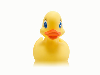 Toy Duck