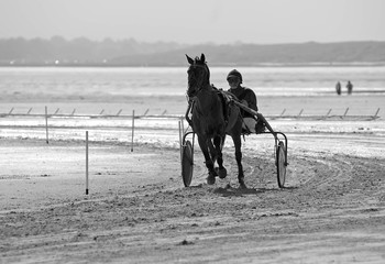 Course attelé 4