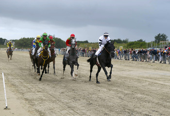 course galop 5