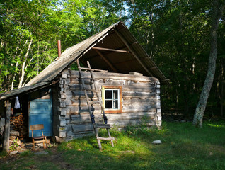 Cabin in Forest 4