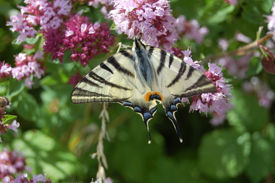 Dfdffd Images – Browse 35 Stock Photos, Vectors, and Video | Adobe Stock