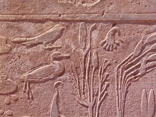 Foto auf Alu-Dibond Hiéroglyphe © jerome vanpoperinghe