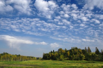 Fototapeta na wymiar Autumn Landscape green grass, blue sky , white clouds and trees