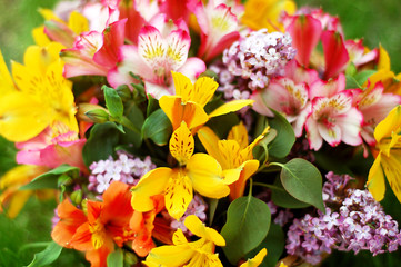 bouquet of beautiful multicolored flowers