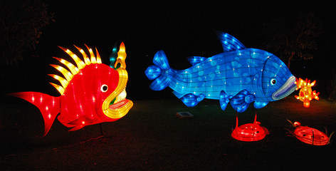 marine lives lantern in the Chinese gardens
