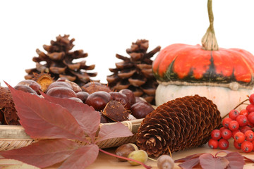 autumn decoration