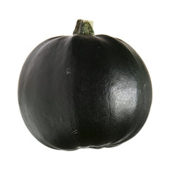 gem gourd side view, isolated on white background © Tamara Kulikova