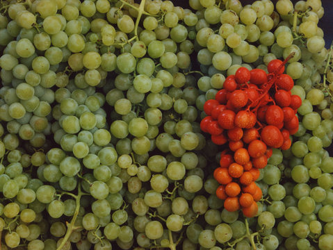 uva e colore