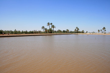 bassin du jardin de la ménara à marrakech