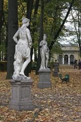 Fototapeta premium Summer Garden