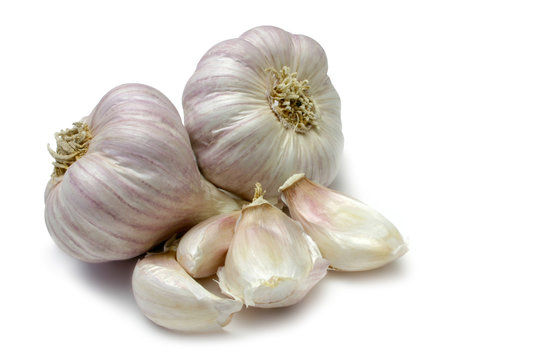 Purple Garlic
