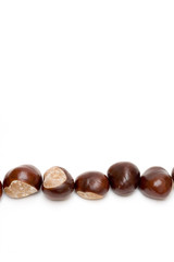 Obraz premium Chestnuts