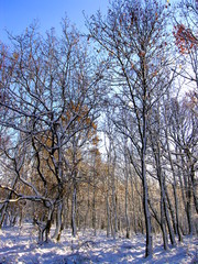 Winterlandschaft in der Eifel
