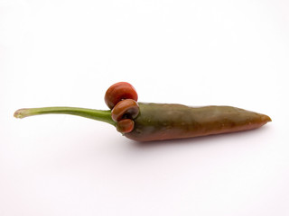Odd shaped red chilli