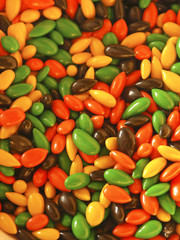 Manycoloured confectionary sun-flower seed