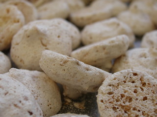 Macro cookie