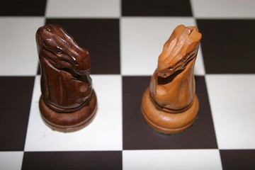 chess knights